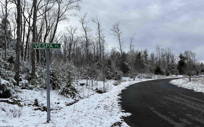 Lot 103 Canal Street, Davis, West Virginia 26260, ,Lots/land,For Sale,Canal,10158156