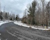 Lot 103 Canal Street, Davis, West Virginia 26260, ,Lots/land,For Sale,Canal,10158156