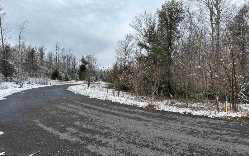Lot 103 Canal Street, Davis, West Virginia 26260, ,Lots/land,For Sale,Canal,10158156