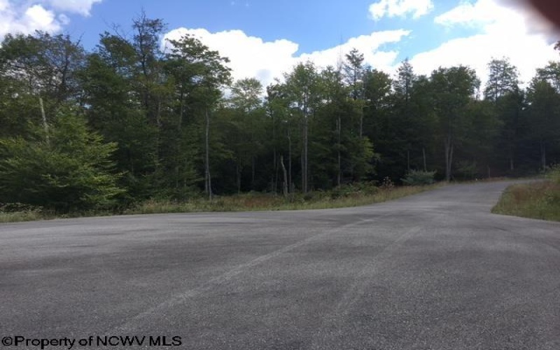 Lot 103 Canal Street, Davis, West Virginia 26260, ,Lots/land,For Sale,Canal,10158156
