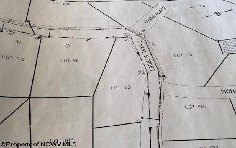Lot 103 Canal Street, Davis, West Virginia 26260, ,Lots/land,For Sale,Canal,10158156
