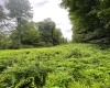 TBD Glassworks Road, Buckhannon, West Virginia 26201, ,Lots/land,For Sale,Glassworks,10158170
