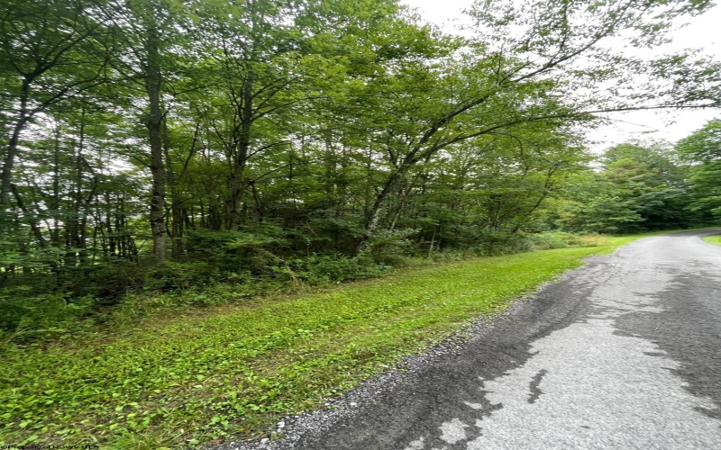 TBD Glassworks Road, Buckhannon, West Virginia 26201, ,Lots/land,For Sale,Glassworks,10158170