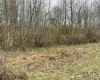 TBD Glassworks Road, Buckhannon, West Virginia 26201, ,Lots/land,For Sale,Glassworks,10158170