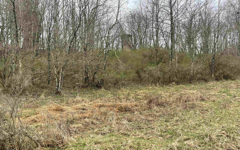 TBD Glassworks Road, Buckhannon, West Virginia 26201, ,Lots/land,For Sale,Glassworks,10158170