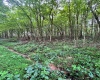 TBD Glassworks Road, Buckhannon, West Virginia 26201, ,Lots/land,For Sale,Glassworks,10158170