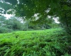 TBD Glassworks Road, Buckhannon, West Virginia 26201, ,Lots/land,For Sale,Glassworks,10158170