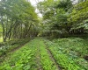 TBD Glassworks Road, Buckhannon, West Virginia 26201, ,Lots/land,For Sale,Glassworks,10158170