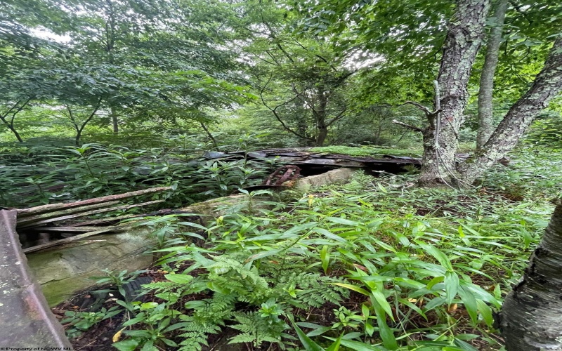 TBD Glassworks Road, Buckhannon, West Virginia 26201, ,Lots/land,For Sale,Glassworks,10158170