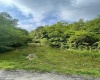 TBD Glassworks Road, Buckhannon, West Virginia 26201, ,Lots/land,For Sale,Glassworks,10158170