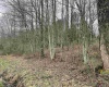 TBD Glassworks Road, Buckhannon, West Virginia 26201, ,Lots/land,For Sale,Glassworks,10158170