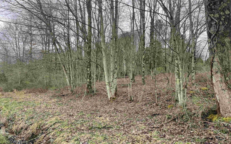 TBD Glassworks Road, Buckhannon, West Virginia 26201, ,Lots/land,For Sale,Glassworks,10158170