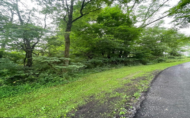 TBD Glassworks Road, Buckhannon, West Virginia 26201, ,Lots/land,For Sale,Glassworks,10158170