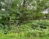 TBD Glassworks Road, Buckhannon, West Virginia 26201, ,Lots/land,For Sale,Glassworks,10158170