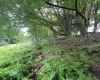 TBD Glassworks Road, Buckhannon, West Virginia 26201, ,Lots/land,For Sale,Glassworks,10158170