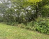 TBD Glassworks Road, Buckhannon, West Virginia 26201, ,Lots/land,For Sale,Glassworks,10158170