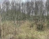 TBD Glassworks Road, Buckhannon, West Virginia 26201, ,Lots/land,For Sale,Glassworks,10158170