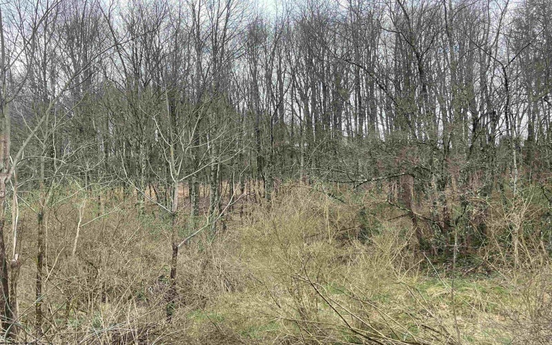 TBD Glassworks Road, Buckhannon, West Virginia 26201, ,Lots/land,For Sale,Glassworks,10158170