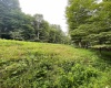 TBD Glassworks Road, Buckhannon, West Virginia 26201, ,Lots/land,For Sale,Glassworks,10158170