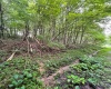 TBD Glassworks Road, Buckhannon, West Virginia 26201, ,Lots/land,For Sale,Glassworks,10158170