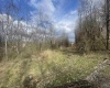 TBD Glassworks Road, Buckhannon, West Virginia 26201, ,Lots/land,For Sale,Glassworks,10158170