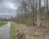 TBD Glassworks Road, Buckhannon, West Virginia 26201, ,Lots/land,For Sale,Glassworks,10158170