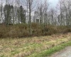TBD Glassworks Road, Buckhannon, West Virginia 26201, ,Lots/land,For Sale,Glassworks,10158170