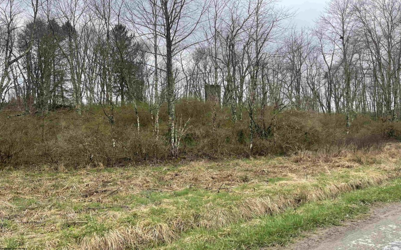 TBD Glassworks Road, Buckhannon, West Virginia 26201, ,Lots/land,For Sale,Glassworks,10158170