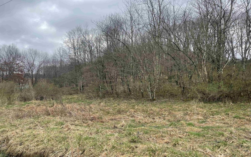 TBD Glassworks Road, Buckhannon, West Virginia 26201, ,Lots/land,For Sale,Glassworks,10158170