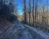 TBD Lantz Ridge Road, Rowlesburg, West Virginia 26425, ,Lots/land,For Sale,Lantz Ridge,10158183