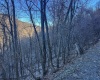 TBD Lantz Ridge Road, Rowlesburg, West Virginia 26425, ,Lots/land,For Sale,Lantz Ridge,10158183