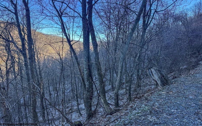 TBD Lantz Ridge Road, Rowlesburg, West Virginia 26425, ,Lots/land,For Sale,Lantz Ridge,10158183