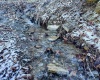 TBD Lantz Ridge Road, Rowlesburg, West Virginia 26425, ,Lots/land,For Sale,Lantz Ridge,10158183