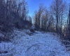 TBD Lantz Ridge Road, Rowlesburg, West Virginia 26425, ,Lots/land,For Sale,Lantz Ridge,10158183