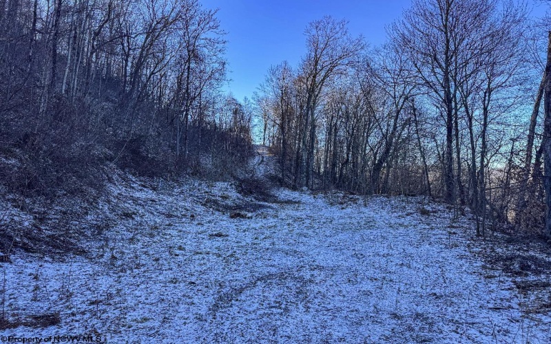 TBD Lantz Ridge Road, Rowlesburg, West Virginia 26425, ,Lots/land,For Sale,Lantz Ridge,10158183