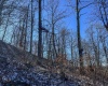 TBD Lantz Ridge Road, Rowlesburg, West Virginia 26425, ,Lots/land,For Sale,Lantz Ridge,10158183