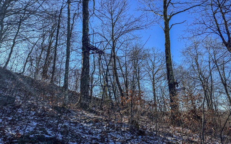 TBD Lantz Ridge Road, Rowlesburg, West Virginia 26425, ,Lots/land,For Sale,Lantz Ridge,10158183