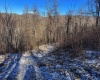 TBD Lantz Ridge Road, Rowlesburg, West Virginia 26425, ,Lots/land,For Sale,Lantz Ridge,10158183