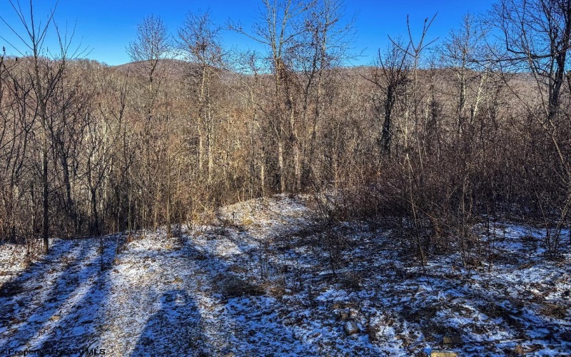 TBD Lantz Ridge Road, Rowlesburg, West Virginia 26425, ,Lots/land,For Sale,Lantz Ridge,10158183