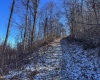 TBD Lantz Ridge Road, Rowlesburg, West Virginia 26425, ,Lots/land,For Sale,Lantz Ridge,10158183