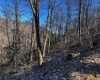 TBD Lantz Ridge Road, Rowlesburg, West Virginia 26425, ,Lots/land,For Sale,Lantz Ridge,10158183