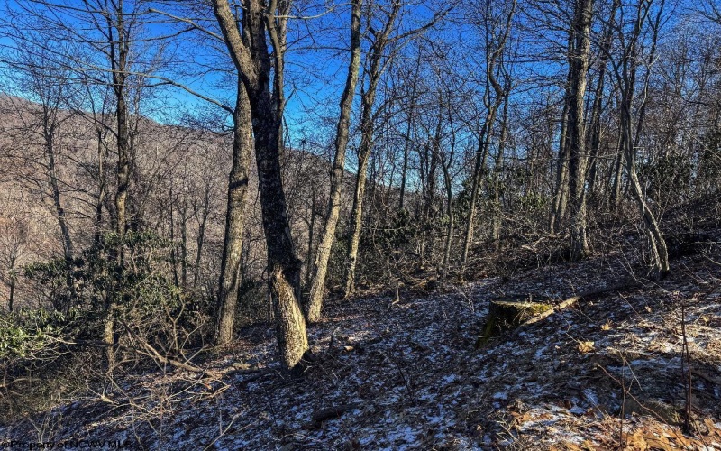 TBD Lantz Ridge Road, Rowlesburg, West Virginia 26425, ,Lots/land,For Sale,Lantz Ridge,10158183