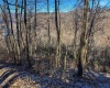 TBD Lantz Ridge Road, Rowlesburg, West Virginia 26425, ,Lots/land,For Sale,Lantz Ridge,10158183