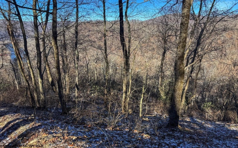 TBD Lantz Ridge Road, Rowlesburg, West Virginia 26425, ,Lots/land,For Sale,Lantz Ridge,10158183