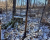 TBD Lantz Ridge Road, Rowlesburg, West Virginia 26425, ,Lots/land,For Sale,Lantz Ridge,10158183