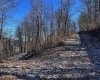 TBD Lantz Ridge Road, Rowlesburg, West Virginia 26425, ,Lots/land,For Sale,Lantz Ridge,10158183