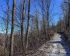 TBD Lantz Ridge Road, Rowlesburg, West Virginia 26425, ,Lots/land,For Sale,Lantz Ridge,10158183