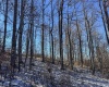 TBD Lantz Ridge Road, Rowlesburg, West Virginia 26425, ,Lots/land,For Sale,Lantz Ridge,10158183