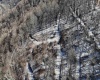 TBD Lantz Ridge Road, Rowlesburg, West Virginia 26425, ,Lots/land,For Sale,Lantz Ridge,10158183