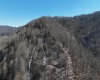 TBD Lantz Ridge Road, Rowlesburg, West Virginia 26425, ,Lots/land,For Sale,Lantz Ridge,10158183